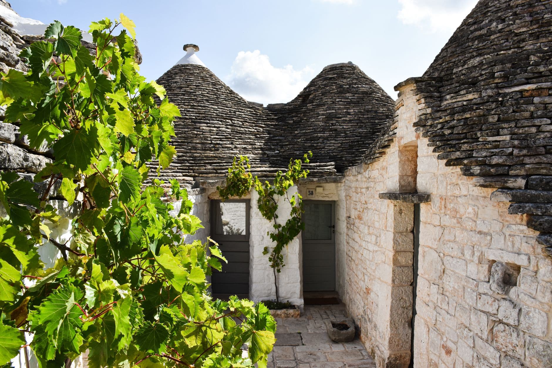 Paysage de la destination